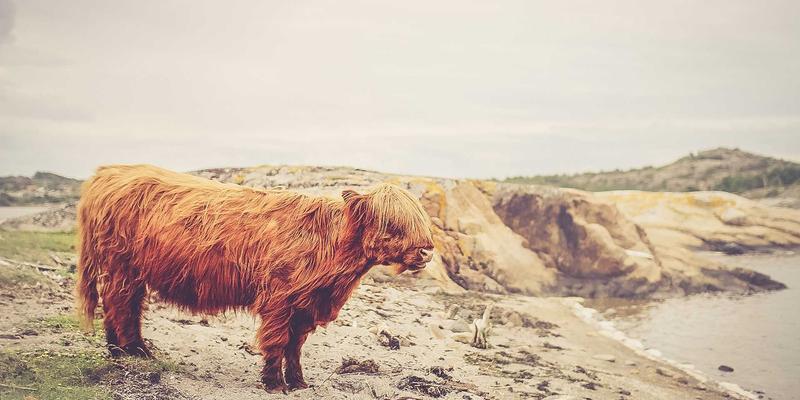从家庭安全到关键基础设施：智能门禁系统如何守护发电厂与水务系统
