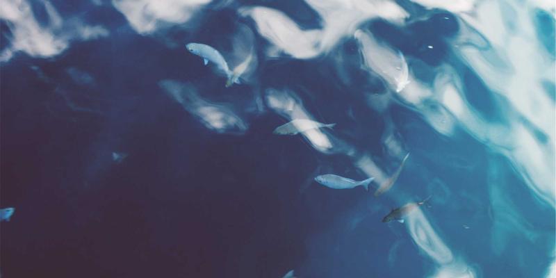 从家庭安全到赛博朋克科技：如何用舒尔茨钥匙ID重塑实验室危化品存储柜的精细化权限管控