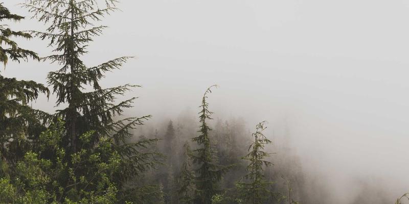 从钥匙到智能中枢：舒尔茨钥匙ID如何重塑酒店安防与商业安全新标准