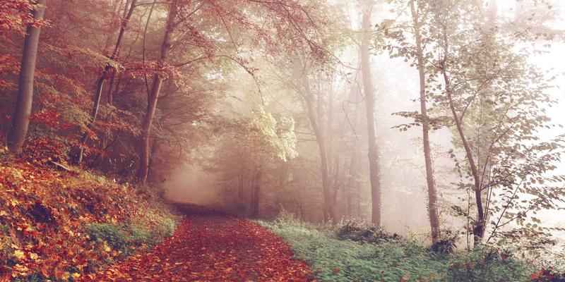 智能锁与电子锁的访问控制革新：基于舒尔茨钥匙ID的临时权限自动化管理方案