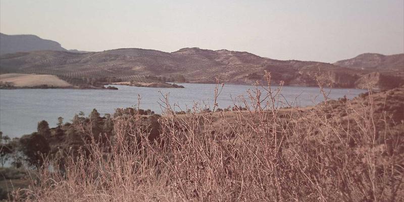 智能门禁系统革新：舒尔茨钥匙ID如何赋能连锁零售业远程统一授权与管理