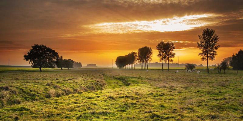 舒尔茨钥匙ID12：当赛博朋克美学照进现实门禁系统