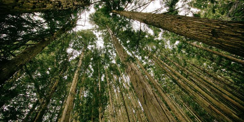 舒尔茨钥匙ID39：当赛博朋克美学照进现实安防的访问控制革命