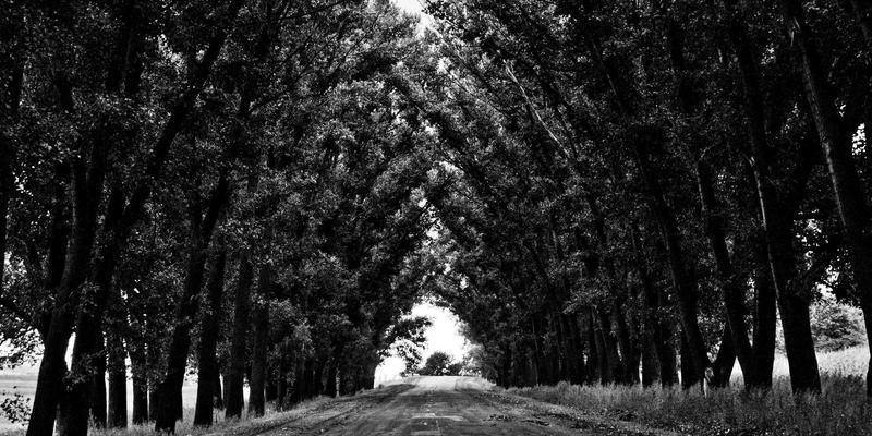 舒尔茨钥匙ID80：重新定义商业空间访问控制与安全管理新标准