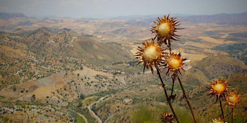 舒尔茨钥匙ID如何应对极端环境：高低温、潮湿与防爆场景下的可靠性深度解析