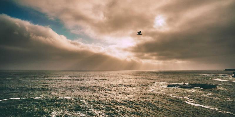 舒尔茨钥匙ID如何重塑商业安全？深度解析其在现代门禁系统中的核心应用