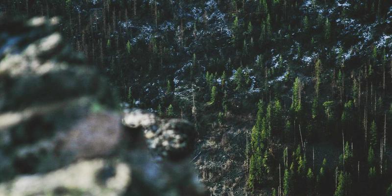 访问控制的未来革命：舒尔茨钥匙ID与区块链技术如何打造不可篡改的家庭安全审计追踪