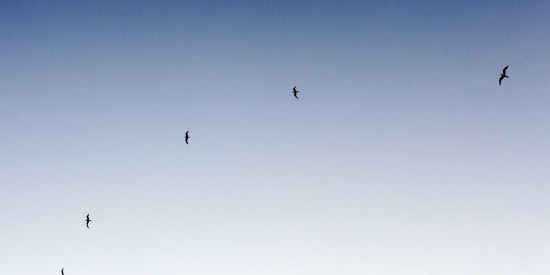 赛博朋克科技赋能：舒尔茨钥匙ID审计日志如何重塑企业门禁安全与合规防线